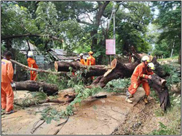 မကွေးတိုင်းဒေသကြီး၊ မင်းဘူးမြို့နယ်၊ အမှတ်(၁)ရပ်ကွက်၊ စက္ကိန်းတဲရပ်၊ စာတိုက်ရှေ့လမ်းပေါ်တွင် သစ်ပင်လဲကျမှုဖြစ်ပွားသဖြင့် ရှင်းလင်းရေးလုပ်ငန်းများ ဆောင်ရွက်မှု 