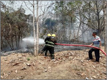 နေပြည်တော်ကောင်စီနယ်မြေ၊ ဥတ္တရသီရိမြို့နယ်၊ ရုံးအမှတ်(၃၃)၊ ဟိုတယ်နှင့်ခရီးသွားလာရေးဝန်ကြီးဌာန၊ ရုံးအမှတ်(၃၂)၊ ဗဟိုစက်ပစ္စည်းစာရင်းအင်းနှင့်စစ်ဆေးရေးဦးစီးဌာနအနီးတွင် တောမီးလောင်မှု 
