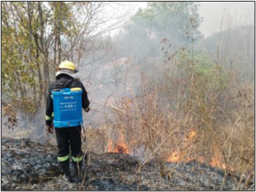 နေပြည်တော်ကောင်စီနယ်မြေ၊ ဥတ္တရသီရိမြို့နယ်၊ မြို့နယ်အထွေထွေအုပ်ချုပ်ရေးဦးစီးဌာနရုံးအနီးတွင် တောမီးလောင်မှု 