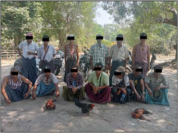 ပဲခူးတိုင်းဒေသကြီး၊ ဒိုက်ဦးမြို့နယ်၌ ကြက်တိုက်‌လောင်းကစားပြုလုပ်သူ အမျိုးသား ၁၃ ဦးအား အမှုဖွင့်အရေးယူ