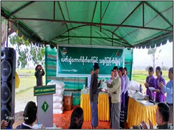 ရှမ်းပြည်နယ်၊ တောင်ကြီးခရိုင်၊ တောင်ကြီးမြို့နယ်၊ မိုင်းသော်အရှေ့ကျေးရွာအုပ်စု၊ ဘုရားငါးဆူကျေးရွာ၌ လက်ဆွဲကောက်စိုက်စက်ဖြင့် နွေစပါးစိုက်ပျိုးခြင်း ကွင်းသရုပ်ပြအခမ်းအနား ကျင်းပ