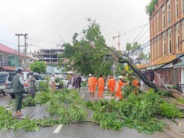 မန္တလေးတိုင်းဒေသကြီး၊ ပြင်ဦးလွင်မြို့နယ်၊ ရပ်ကွက်ကြီး(၂)၊ မန္တလေး-လားရှိုးလမ်းဘေး၌ သစ်ပင်လဲကျသဖြင့် ရှင်းလင်းရေးလုပ်ငန်းများဆောင်ရွက်မှု 