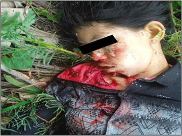 ပဲခူးတိုင်းဒေသကြီး၊ ဖြူးမြို့နယ်၌ PDF…