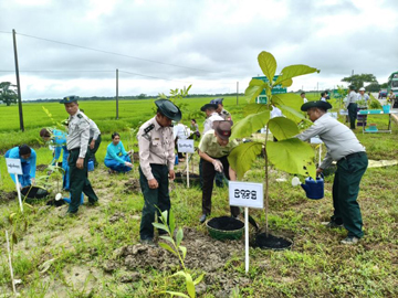 ရန်ကုန်တိုင်းဒေသကြီး၊ သန်လျင်ခရိုင်၊ ခရမ်းမြို့နယ်၊ သန်လျင်-ခရမ်း-ပဲခူး ကားလမ်းမကြီး လမ်းဘေး ဝဲ/ယာ၌ မိုးရာသီ သစ်ပင်စိုက်ပျိုးပွဲအခမ်းအနား ကျင်းပ