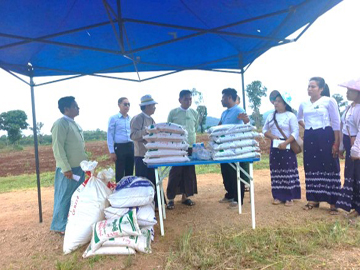 ရှမ်းပြည်နယ်၊ နမ့်စန်ခရိုင်၊ မိုးနဲမြို့နယ်၊ မိုက်ဟိုင်းကျေးရွာအုပ်စု၌ မိုးသီးနှံမျိုးစေ့ထုတ်စိုက်ခင်း စိုက်ပျိုးနေမှုနှင့် သစ်စိမ်းမြေဩဇာ(ပိုက်ဆံလျှော်) ထည့်သွင်းခြင်း သရုပ်ပြပွဲသို့ ကွင်းဆင်းစစ်ဆေး 