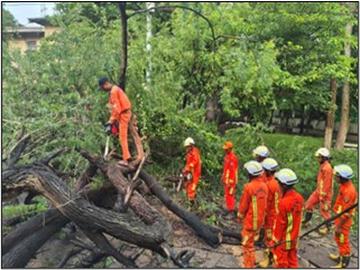 မကွေးတိုင်းဒေသကြီး၊ မင်းဘူးမြို့နယ်၊ အမှတ်(၁)ရပ်ကွက်၊ ဦးဩဘာသလမ်း၌ သစ်ပင်လဲကျသဖြင့် ရှင်းလင်းရေးလုပ်ငန်းများ ဆောင်ရွက်မှု